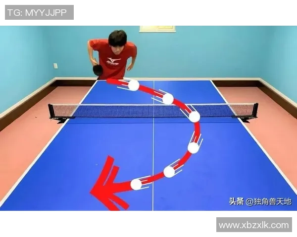 科学乒乓球训练方法揭秘提升个人能力的有效技巧与策略