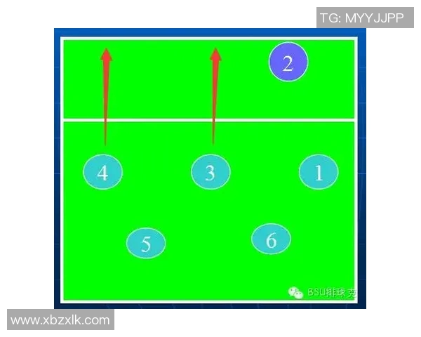 上海排球队的战术变革与球员转型深度解析 上海排球队的战术变革与球员转型深度解析