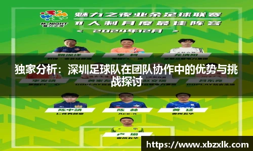 独家分析：深圳足球队在团队协作中的优势与挑战探讨