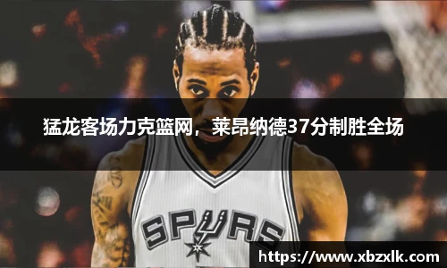 6163银河net163